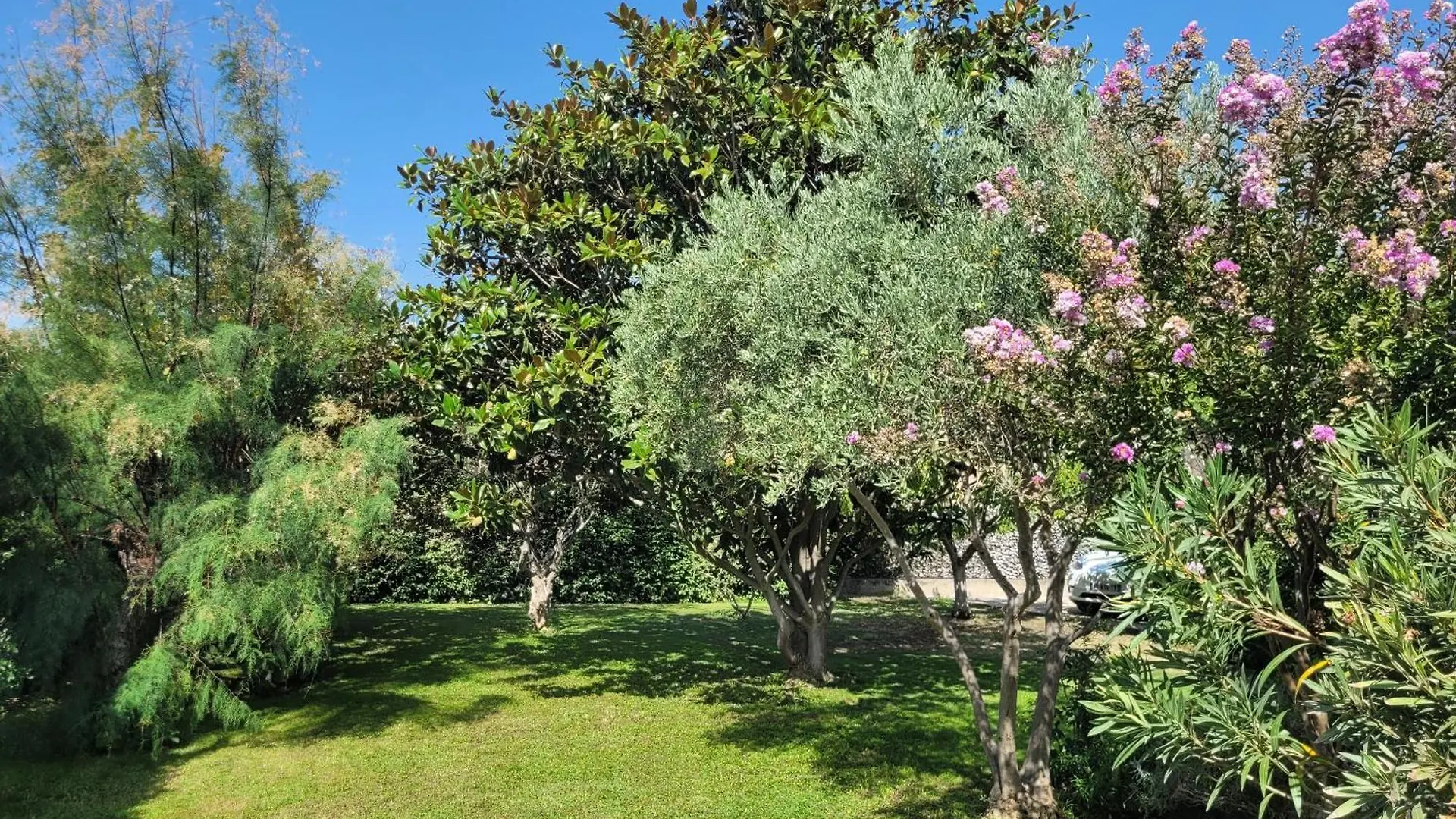 La Villa Des Lavandes - A 300M Du Centre, Au Calme, Et Au Vert ! LʼIsle-sur-la-Sorgue Francie