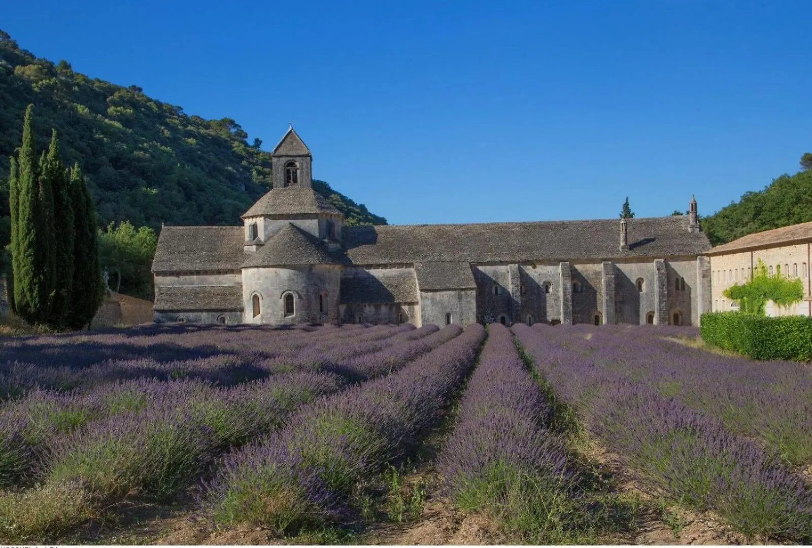 La Villa Des Lavandes - A 300M Du Centre, Au Calme, Et Au Vert ! LʼIsle-sur-la-Sorgue